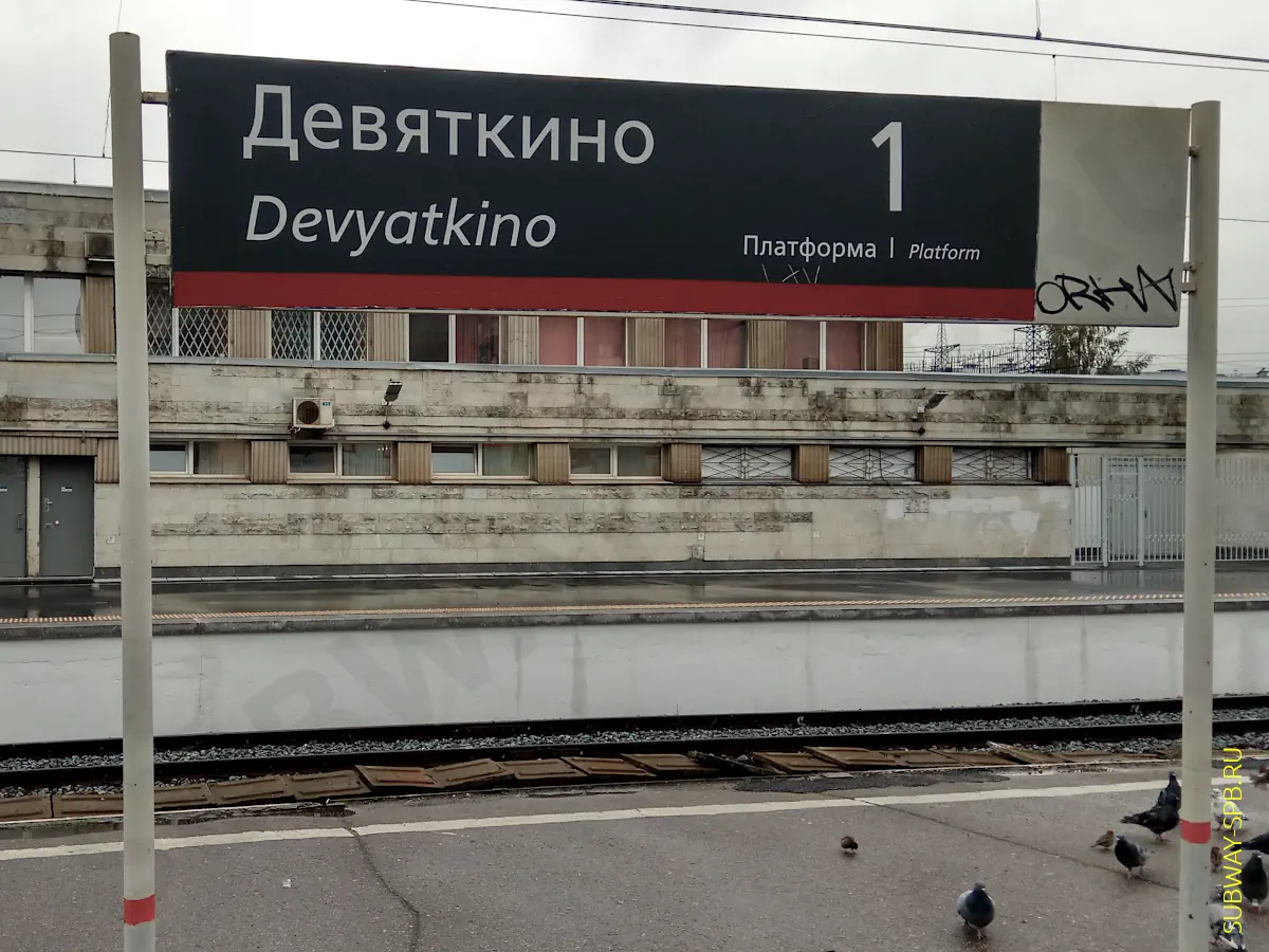 Анастасияны блять