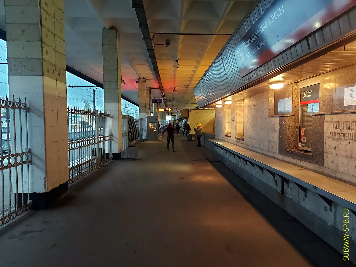 Санкт-Петербургтегі Девяткино метро станциясының маңындағы жезөкшелер
