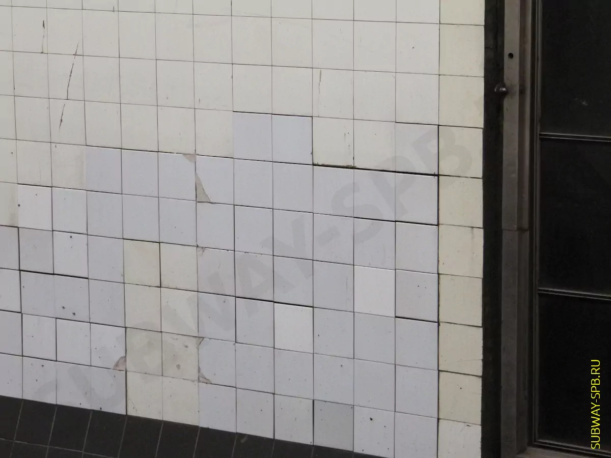 Jinsiy qizlarning mushuklarini chozayotgan fotosuratlari