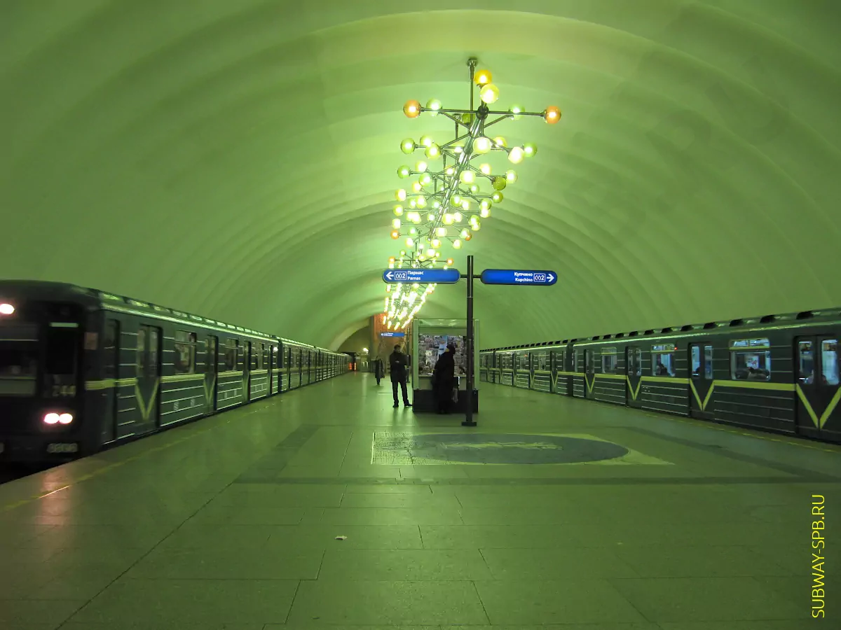 Yalangoch suv polo oyinchilarining fotosuratlari