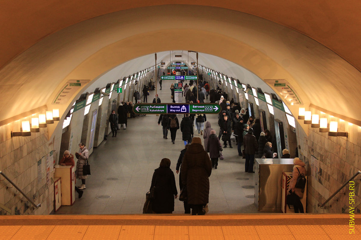 Станция метро Площадь Александра Невского 1, Санкт-Петербург