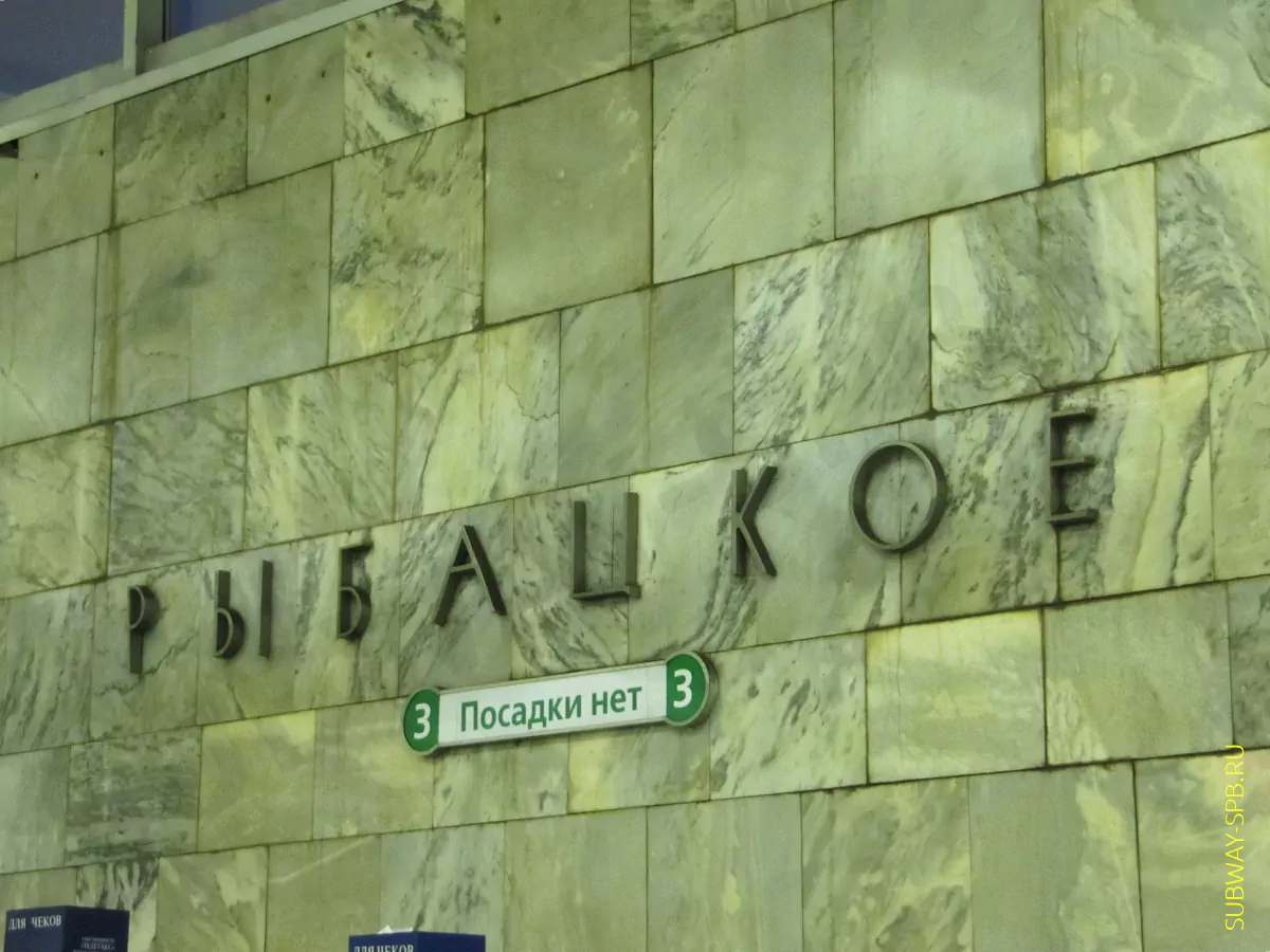 Порно видеоларды ұрлағаны үшін жазаланды